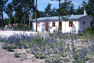 Djupvikhuset i Eksta på Gotland