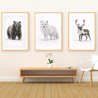 Poster med djur och nordisk natur från kollektionen Stilla vildmark
