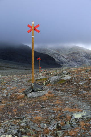 Ledkryss på fjället