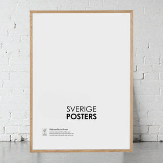 Poster i ekram som exempel på ramval till väggkonst