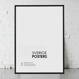 Tavelramar och Posterhängare